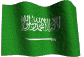 saudiarabia.gif